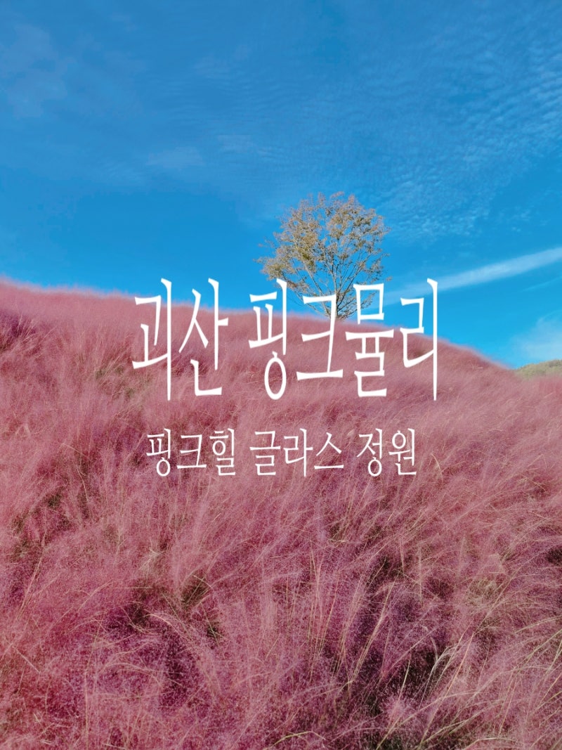 괴산 핑크뮬리 핑크힐 글라스 정원 주소 괴산군 괴산읍 서부리 43-1