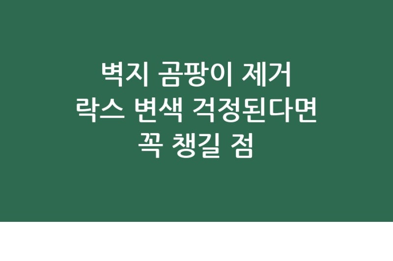 벽지 곰팡이 제거 락스 변색 걱정된다면 꼭 챙길점