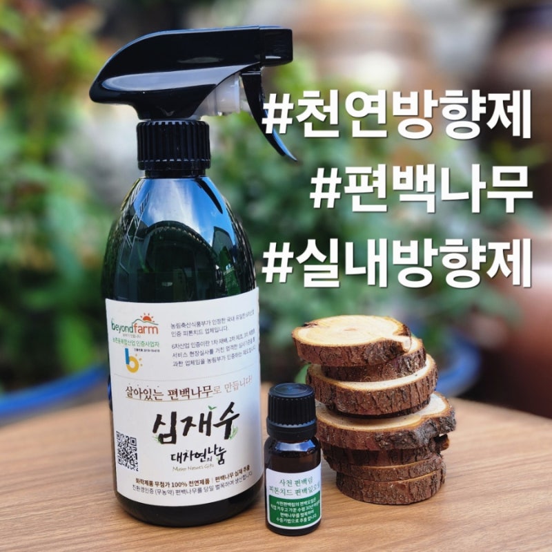 온 집안에 퍼지는 싱그러운 숲속 향, 사천편백림 피톤치드 천연 편백 방향제 세트 활용법