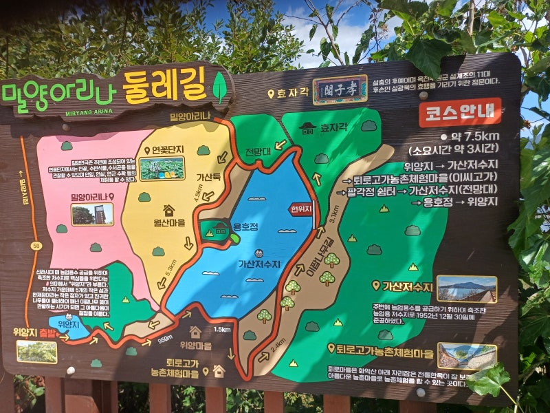 밀양 가볼만한곳 주말 나드리 자전거길 드라이브 산책 아리나 둘레길 다녀온후기