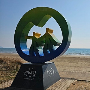 태안 남면 몽산포해수욕장 산책 실종 30대 바다 숨진채 사망 발견 사건! 이유? 익사?
