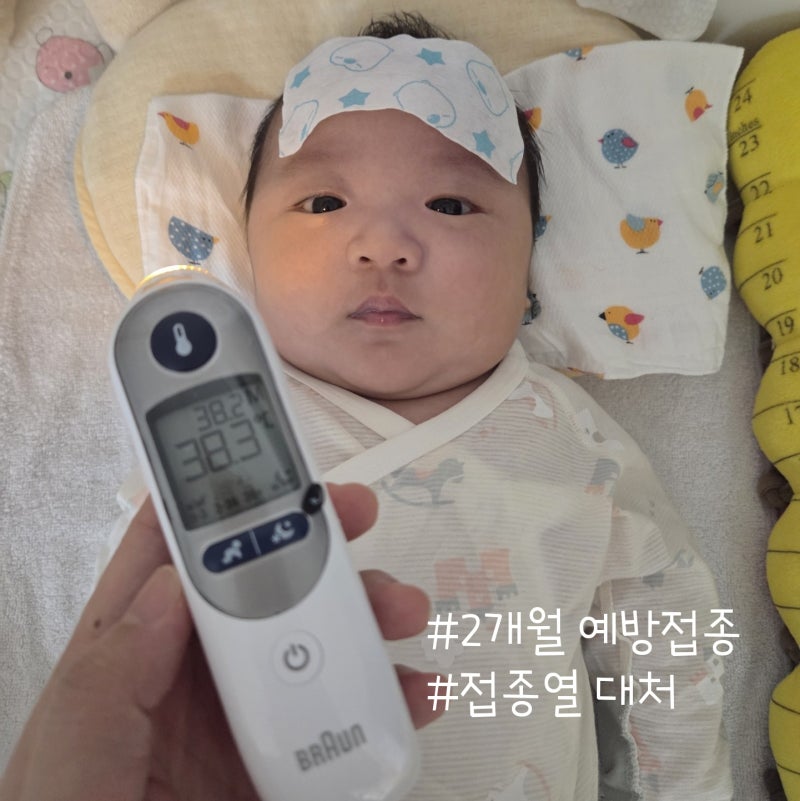 생후 2개월 예방 접종, 접종열 대처 헥사심 로타바이러스 폐구균 필수 백신 주사 종류 주변 ....