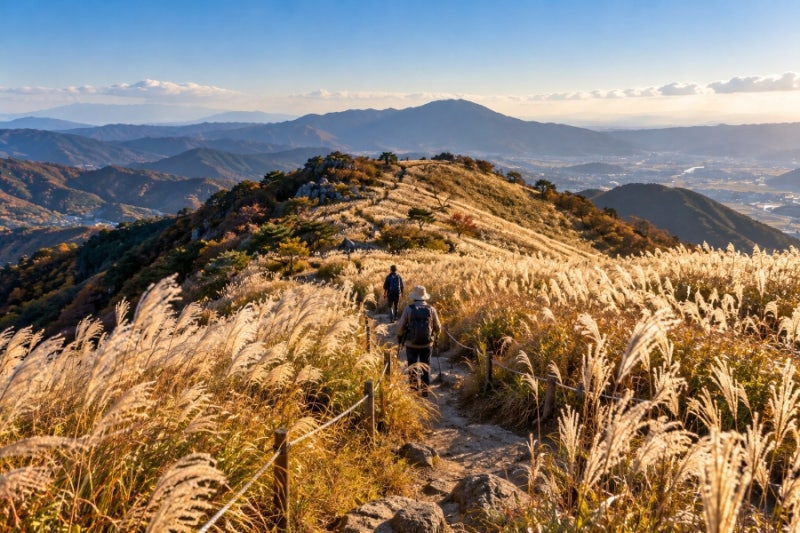 2026 경주 무장봉 억새 언제 절정? 10월 말 개화시기·등산 코스·주차