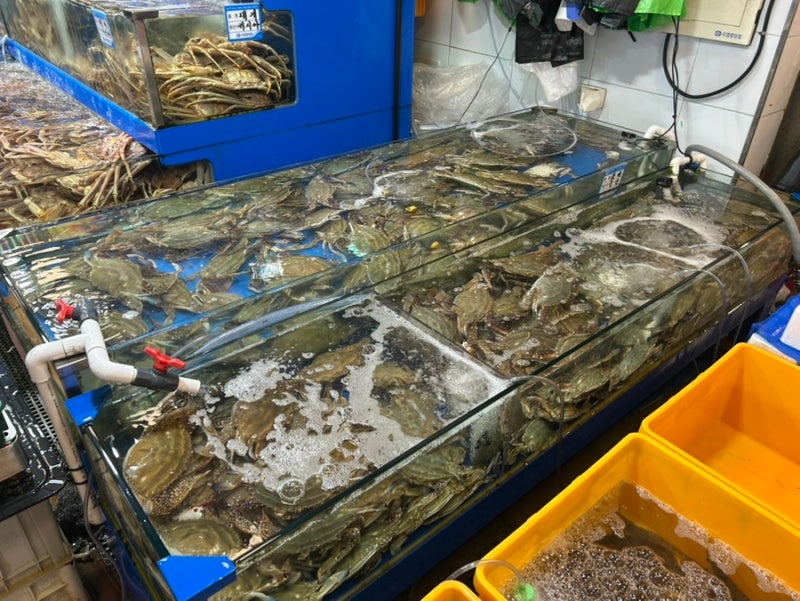 부모님 모시고 다녀온 노량진수산시장 수율좋은 꽃게 맛집