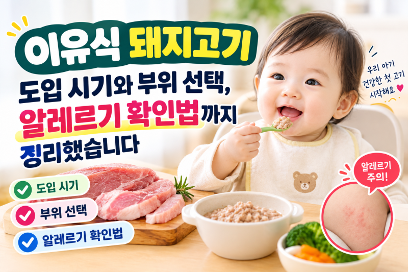 이유식돼지고기 도입 시기와 부위 선택, 알레르기 확인법까지 정리했습니다