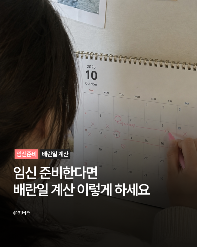 배란일 계산 방법 배란기 증상 가임기 계산 생리주기 불규칙할 때까지 정리
