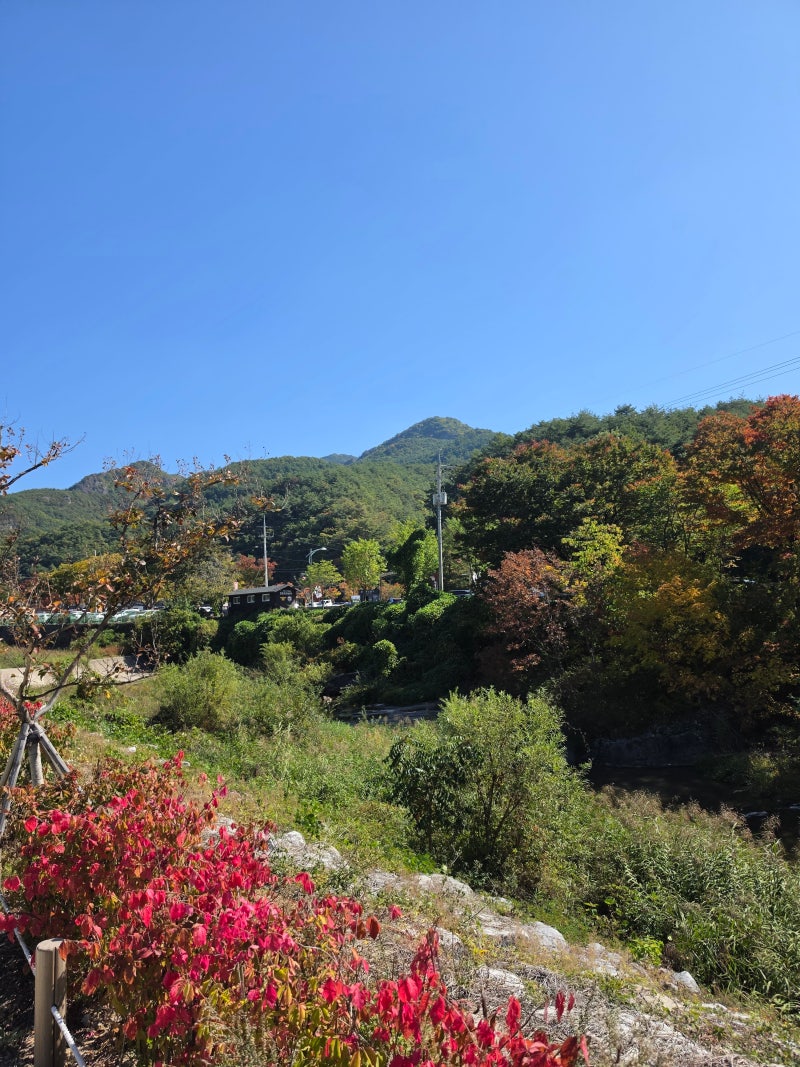 청송 주왕산 둘레길 가벼운 트레킹 코스