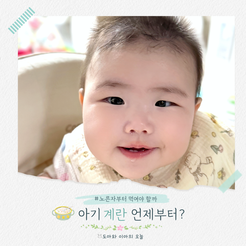 아기 계란 테스트 언제부터? 노른자부터 먹여야 할까 팩트체크