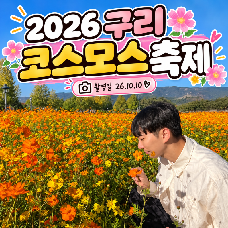 2026 구리 코스모스 축제 라인업 먹거리 및 구리 한강시민공원 주차장 꿀팁 총정리
