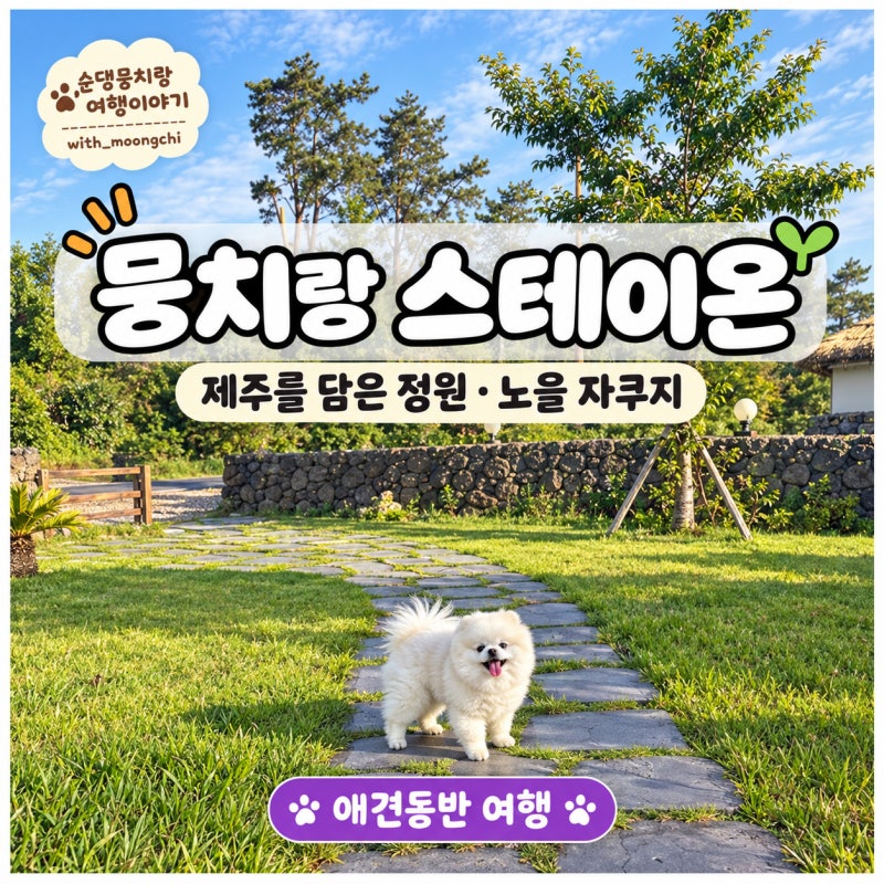 제주 애견동반 숙소 스테이온 901호｜애월 독채펜션·야외 자쿠지 솔직 후기