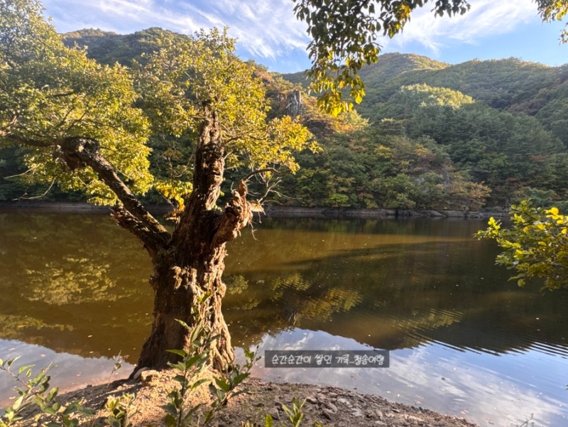 가을 청송 가볼만한곳 주산지 주왕산 근처 가족 산책 코스 추천