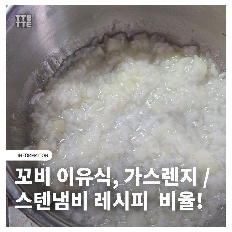 꼬비이유식 초기, 가스레인지 스텐 냄비 조합 레시피 비율