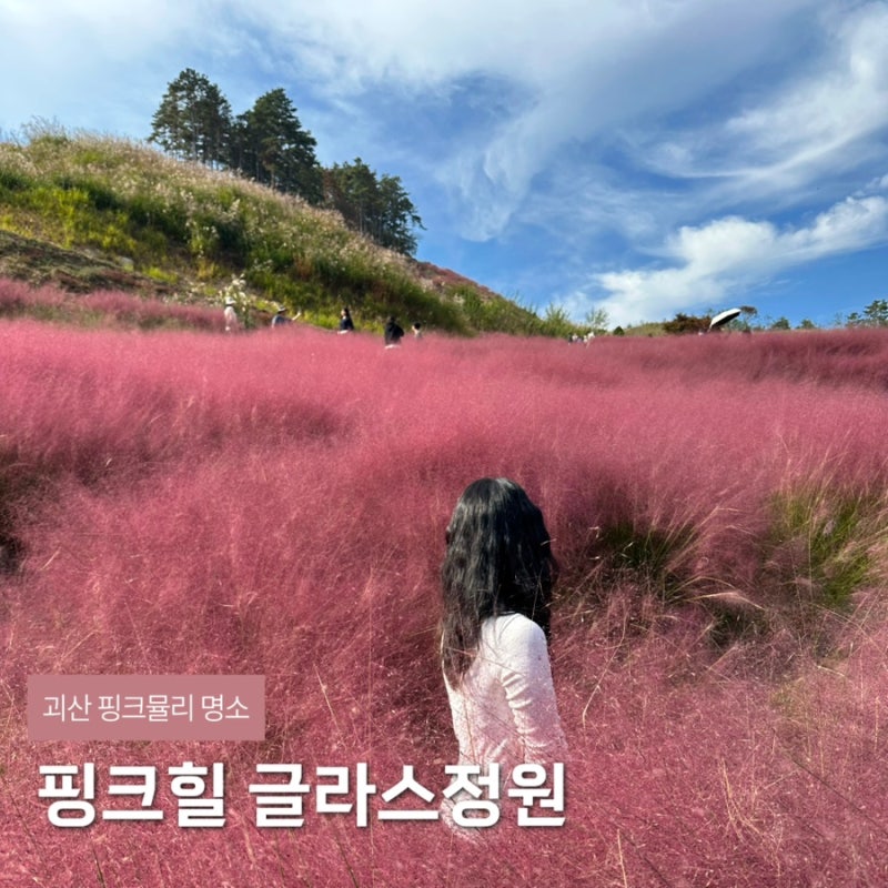 가을 핑크뮬리명소 괴산 핑크힐 글라스정원 | 가을여행 괴산가볼만한곳