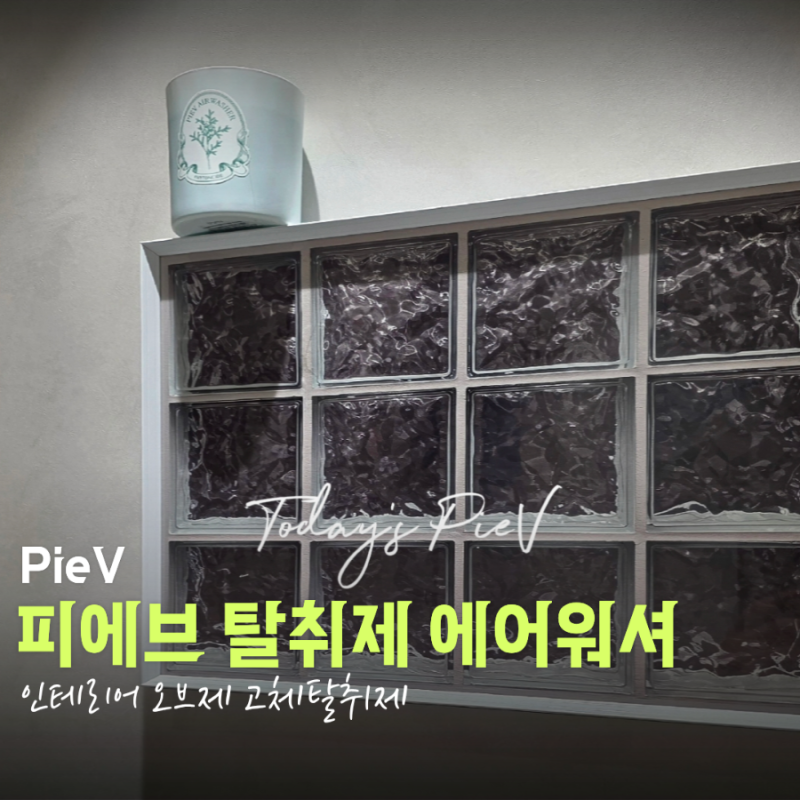 [피에브 탈취제] 은은한 피톤치드향 고체탈취제