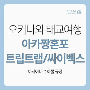 [오키나와_태교여행] 아카짱혼포 트립트랩 5in1, 싸이벡스 리베르, 제로나t 생산중단, 아시아....