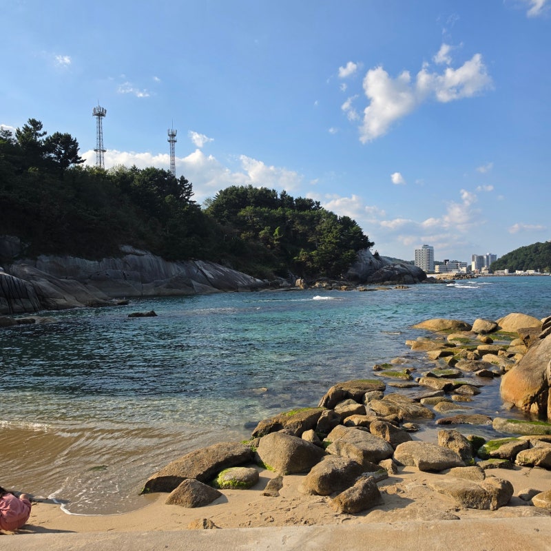 양양 휴휴암 방문 후기｜아이들과 물고기 먹이 주고 바다까지 즐긴 가족 여행