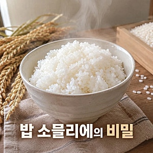 김신영이 18시간 공부해 딴 자격증? 밥 소믈리에의 정체