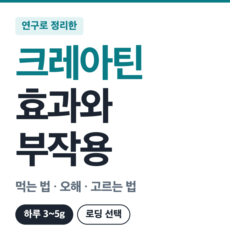 크레아틴 효과와 부작용, 논문으로 확인한 총정리 (하루 3~5g 먹는 법·로딩·탈모·신장 오해....