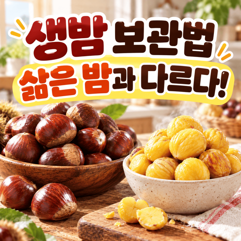 생밤 보관법, 삶은 밤과 냉장·냉동 방법은 이렇게 달라요