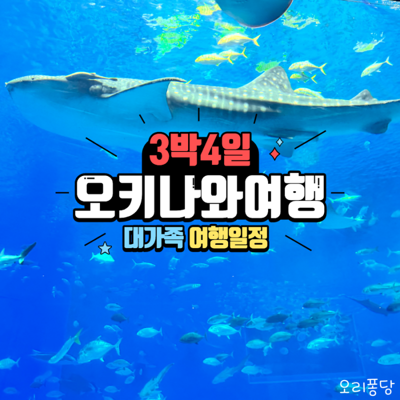 오키나와 3박 4일 가족여행 코스｜츄라우미 수족관부터 아메리칸 빌리지까지