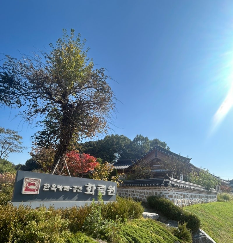 화성 비봉 한옥카페 화림원 핑크뮬리 포톤존 애견동반카페 주말 오픈런