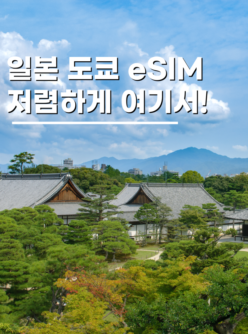 일본유심 도쿄이심 eSIM 여행 준비물 50% 할인으로