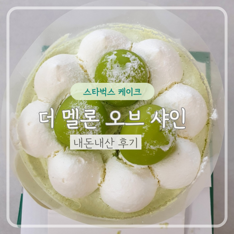 과일 꽉 찬 스타벅스 더 멜론 오브 샤인 케이크