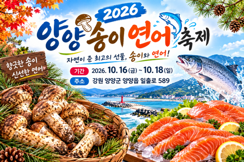 아이와 가볼만한 곳 2026 양양송이연어축제 총정리!