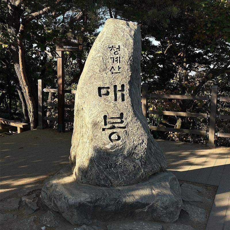 청계산 매봉 초보 등산코스 / 9살 딸과 가을 등산