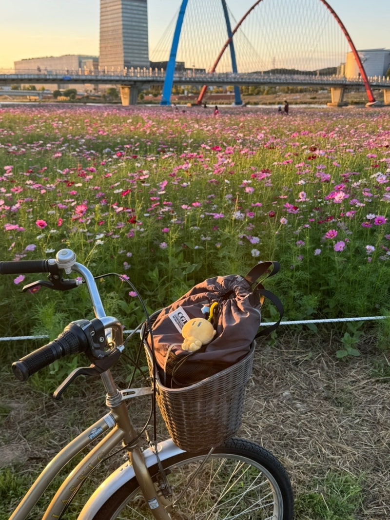 가을아 가지마