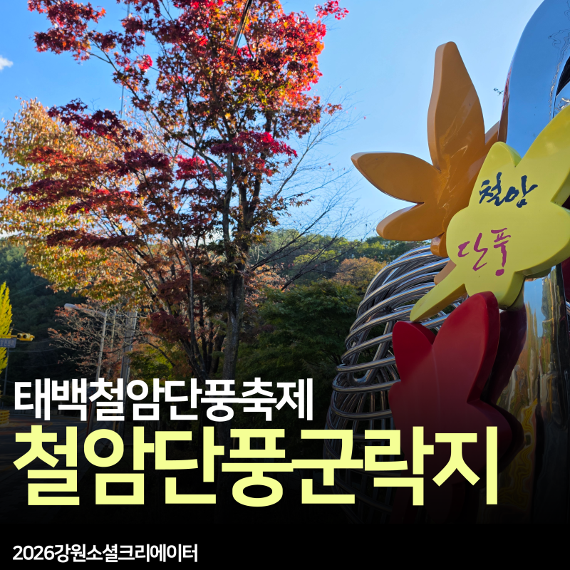 태백가볼만한곳 미리 다녀온 철암단풍군락지 2026 태백단풍축제와 가을 풍경