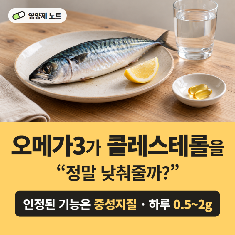 오메가3가 콜레스테롤을 정말 낮춰줄까? LDL·중성지방 차이와 하루 섭취량 정리