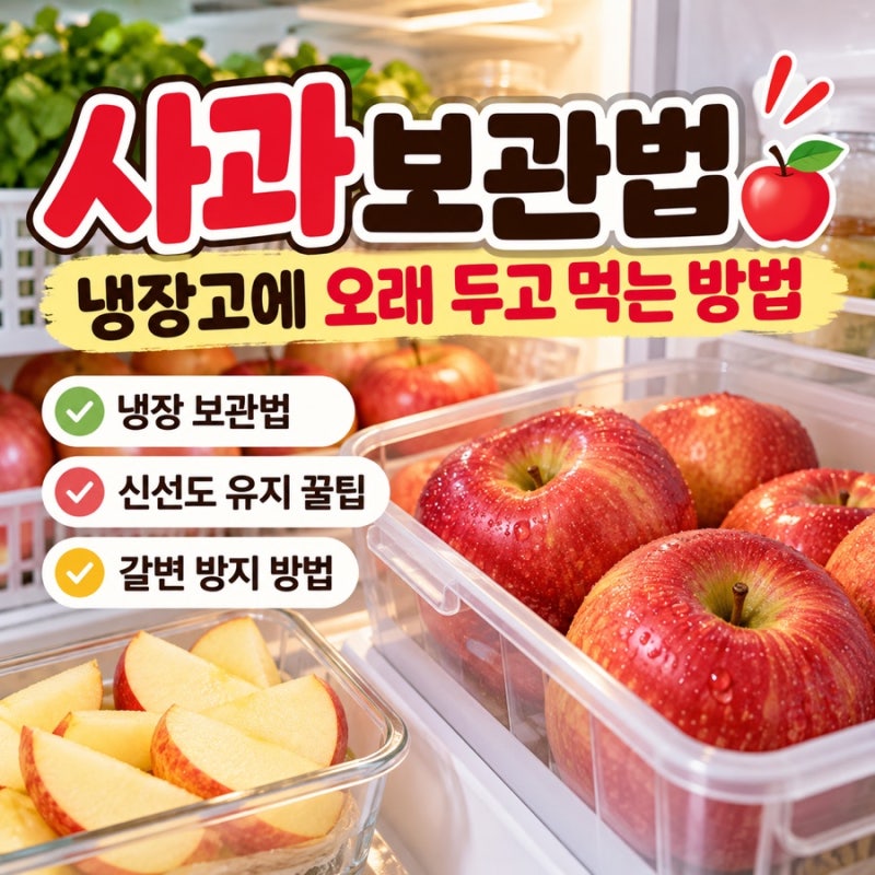 사과 보관법｜냉장고에 오래 두고 먹는 방법과 신선도 유지 꿀팁