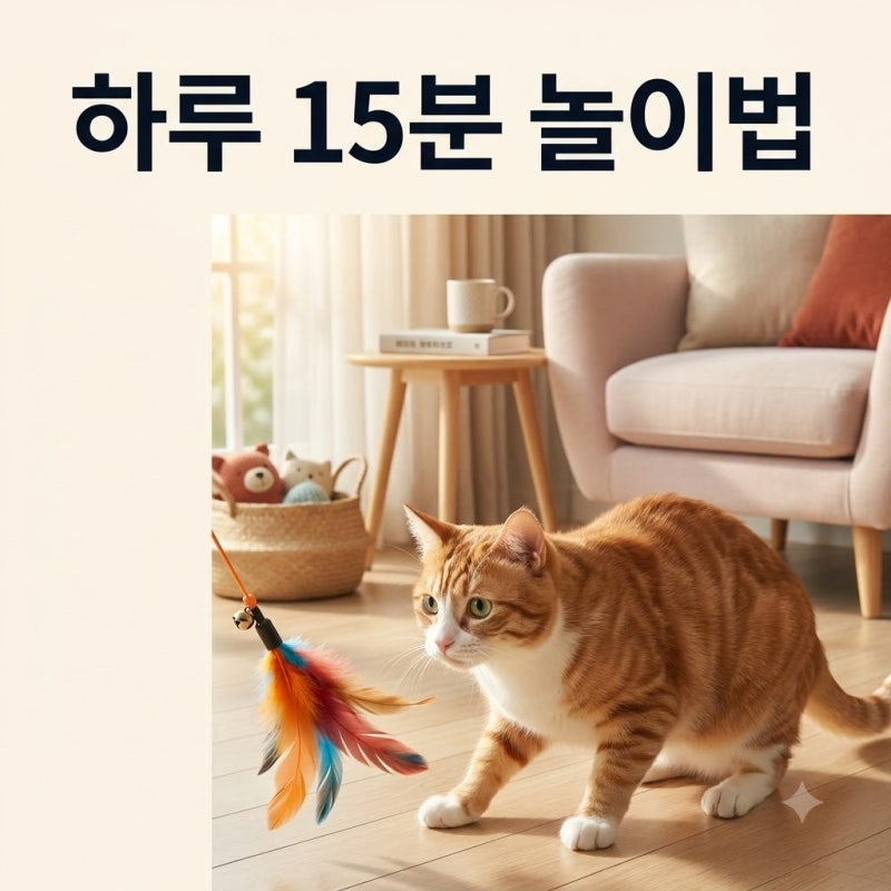고양이 장난감 3일 만에 질린다면? 놀이 시간 2배 늘리는 방법