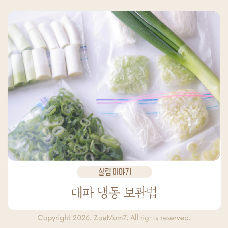 대파 냉동 보관법 물기 없이 오래 보관하는 손질 팁