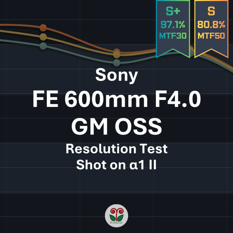 [소니 렌즈 화질 테스트] Sony FE 600mm F4 GM OSS (SEL600F40GM)