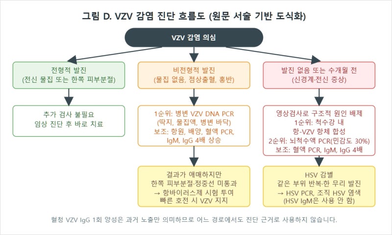 수두-대상포진 바이러스(Varicella Zoster Virus) 감염의 모든 것 - 수두, 대상포진, 대상포진 후 신....