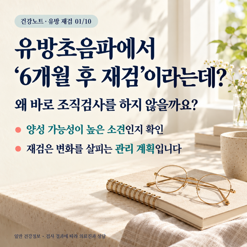 유방초음파에서 ‘6개월 후 재검’이라는데, 왜 바로 조직검사를 하지 않을까?