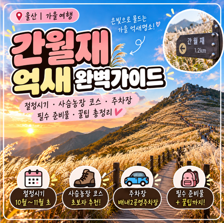 영남 알프스 울산 간월재 억새평원 절정시기 언제? 사슴농장 코스 주차장 필수 준비물 총정....