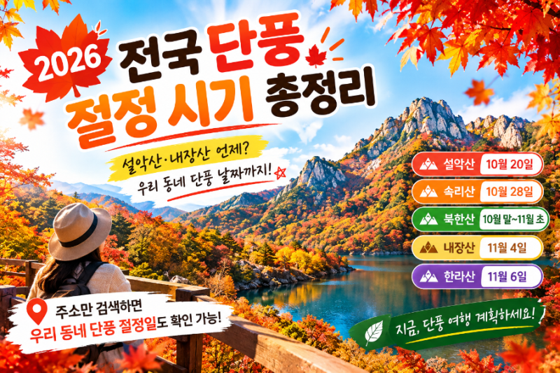 2026 전국 단풍 절정 시기 총정리: 설악산·내장산 언제? 우리 동네 단풍 날짜까지 확인!
