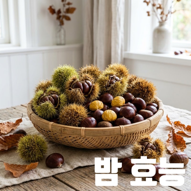 밤효능 부작용, 밤 1개 칼로리 삶은밤 효능?