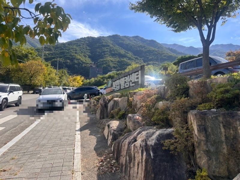 영남알프스 간월재 주차장 오픈런 위해 새벽에 가야한다 했지만 오후에 가도 충분히 이뻤다 ....