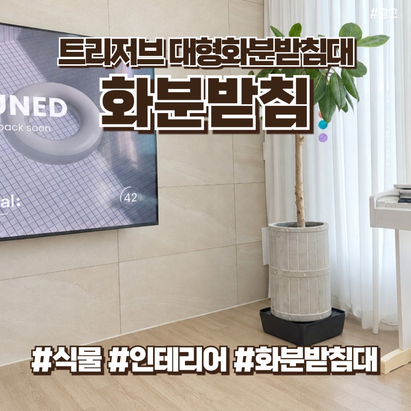 대형 화분 물 줄 때마다 고민이라면? 트리저브 화분받침대 사용 후기