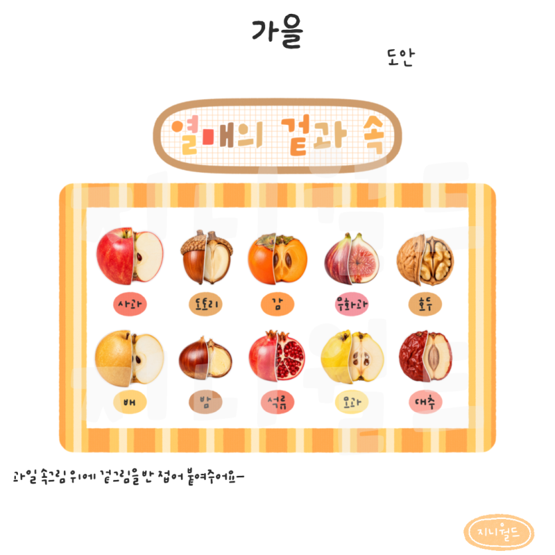 [가을] 가을 열매 겉과 속 벽보 도안｜과일 단면 접어 붙이기