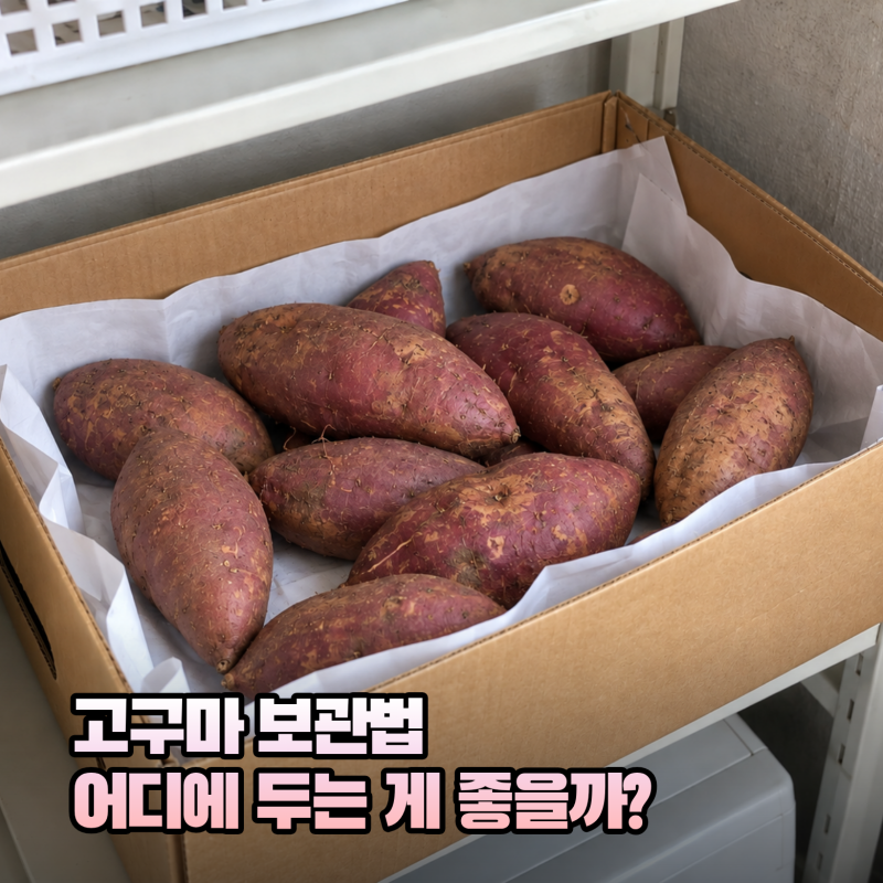 고구마 보관법, 냉장고와 베란다 대신 어디에 둘까?