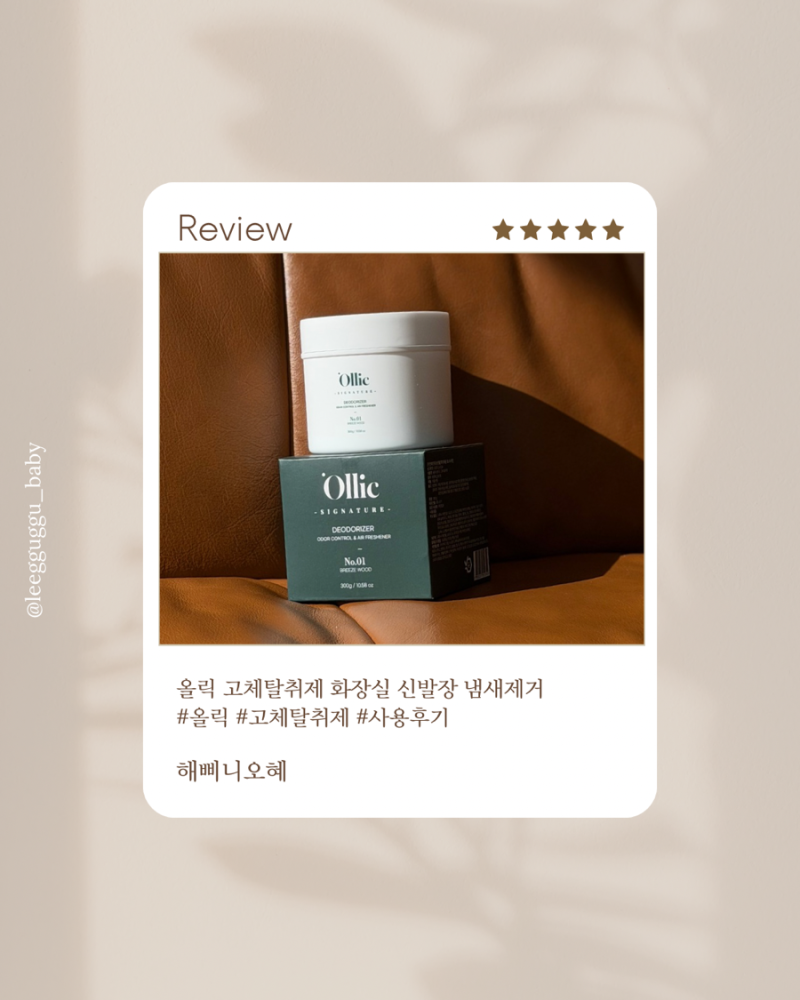 고체방향제 추천 올릭 고체탈취제 신발장 화장실 집안 냄새 관리 후기