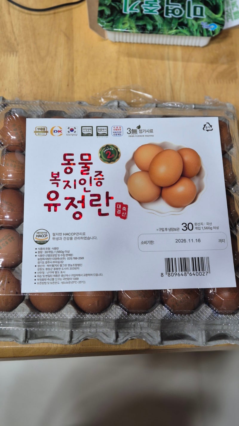 압력솥으로 구운 계란 만들기, 3시간의 첫 도전은 아쉬움 가득!