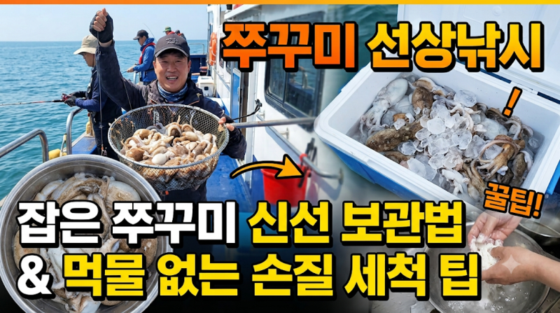 쭈꾸미 선상낚시 - 잡은 쭈꾸미 신선 보관법 & 먹물 없는 손질 세척 팁