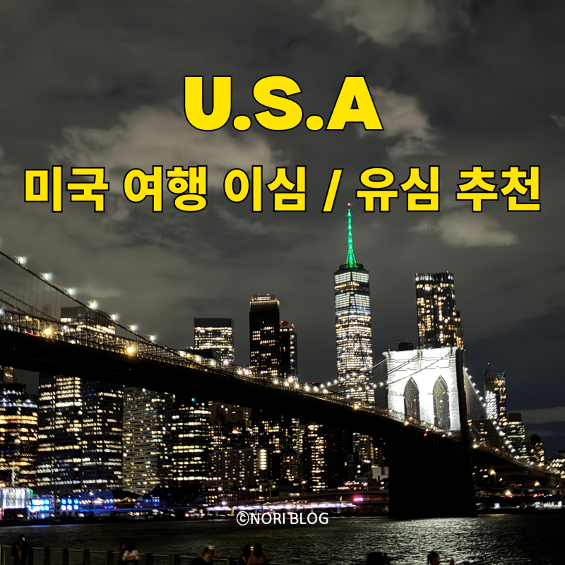 미국 이심 추천 '투어 중에 저만 잘 터졌어요' 유심사 사용 후기
