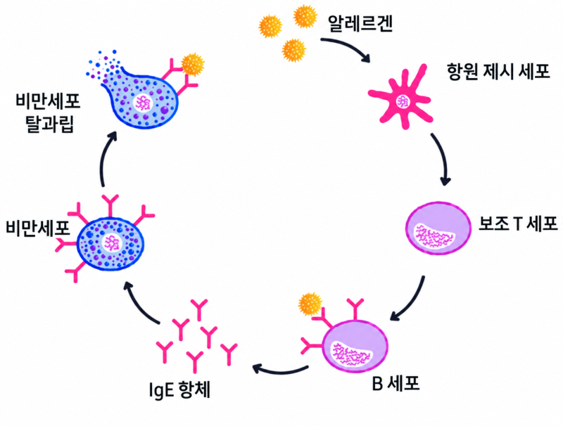 가을만 되면 코가 막히는 이유, 알레르기성 비염의 과학
